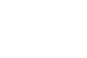プロバスケットボール選手 川真田紘也 選手