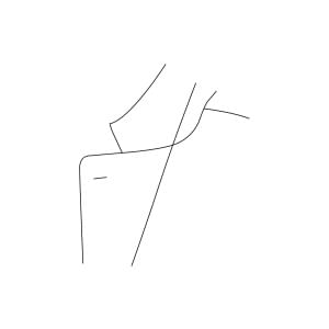 地衣表地・ラムース・別布